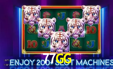 Game shows ao vivo